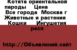 Котята ориентальной пароды  › Цена ­ 12 000 - Все города, Москва г. Животные и растения » Кошки   . Ингушетия респ.